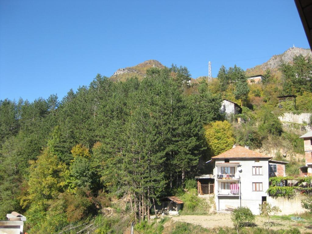 Family Hotel Veronika 代温 外观 照片