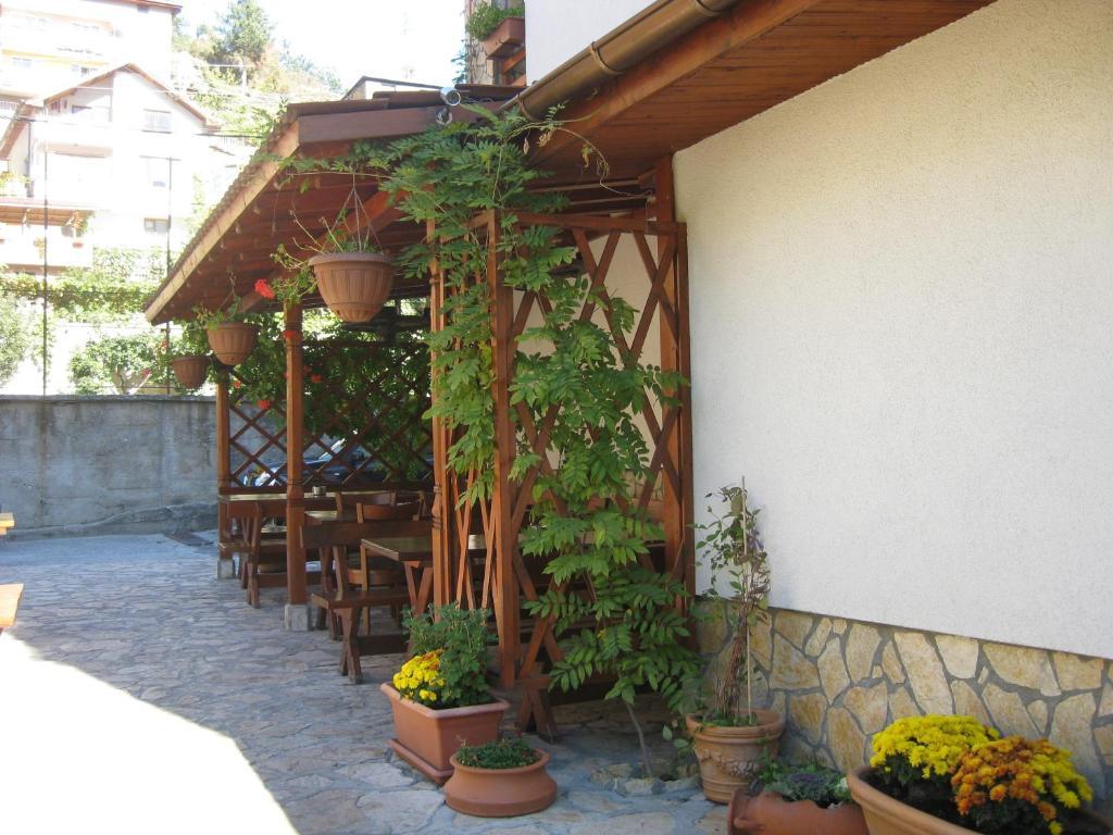 Family Hotel Veronika 代温 外观 照片
